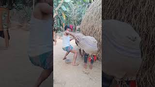 গ'রু দুধ দেই না কেন🤣 #funny #shortvideo