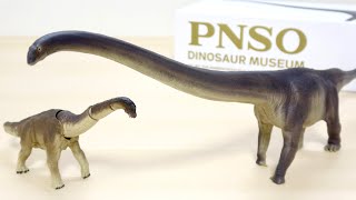 恐竜フィギュアよりも上質な箱に感動!? PNSO マメンチサウルス