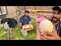 Ostrich Egg Le Aya Turab😍Bht Bra hai Ye To