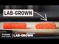 Could Lab-Grown Salmon Be The Future Of Fish? | Lab-Grown | Science Insider