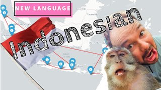 Announcing my next language project: Indonesian🇮🇩🇮🇩🇮🇩