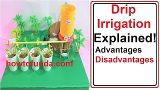 drip irrigation model explained(advantages and disadvantages) | howtofunda