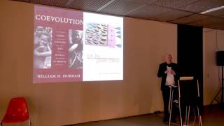 Theory, Culture, and Architectural Research - Harry Mallgrave