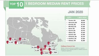Reports offer small hope for renters