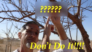 5 Pruning Mistakes to AVOID at ALL COSTS!