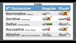 CC Cycle 1 Latin Weeks 9-10 and 21-22 4th Declension Noun Endings