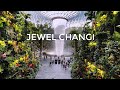 JEWEL CHANGI AIRPORT | World's largest indoor waterfall Rain Vortex