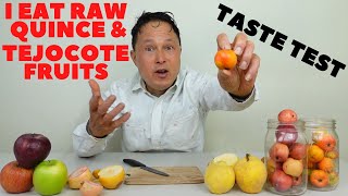 You Can Eat Raw Quince, & Uncooked Tejocote Fruit! Taste Testing