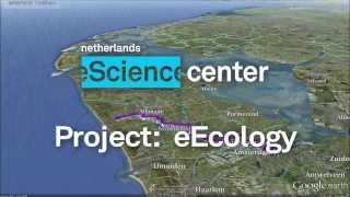 eEcology: Inspiration \u0026 discovery in ecology