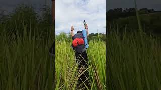 Viper's peak 🌿 waragud pasingot #nature #philippines #travel #trending