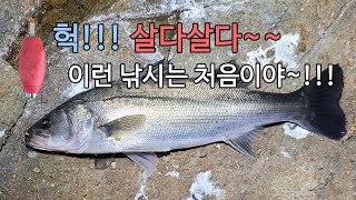 헉!!! 살다살다~~ 이런 낚시는 처음이야~~!!!