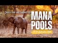 Join me on a MANA POOLS photographic safari this September!
