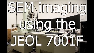 JEOL 7001F SEM Workflow