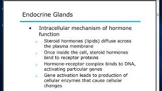 Intro A&P - Endocrine System - Part 1
