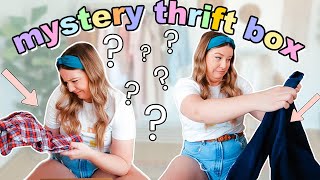 i ordered a MYSTERY THRIFT BOX... (this didn't go as planned)