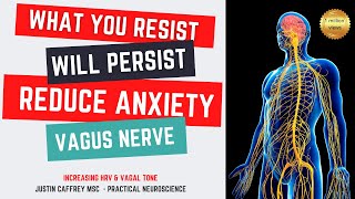 What You Resist Will Persist (heal your Vagus Nerve)