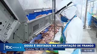 GOIÁS É DESTAQUE NA EXPORTAÇÃO DE FRANGO, COM AUMENTO DE 37% NA PRODUÇÃO