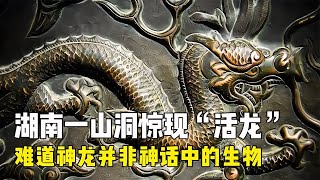 湖南山洞驚現“活”龍，渾身布滿龍鱗，難道龍并非神話中生物？