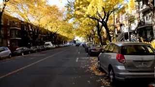 20111106 Paseando en Bici - Riding in Bike in Montreal's Streets