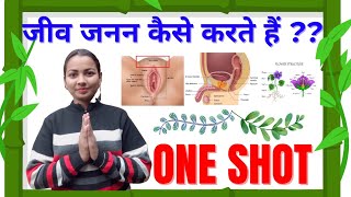 जीव जनन कैसे करते हैं || आज होगी खुलकर बात || jiv janan kaise karte hai •class 10 science one shot