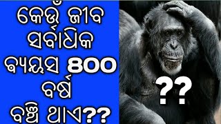 Odia General knowledge !! Odia Gk !!କେଉଁ ଜୀବ ସର୍ବାଧିକ800 ବର୍ଷ ବଞ୍ଚେ!! #JABM