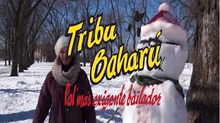 Tribu Baharú - Made in Tribu Baharú by Europa Latina TV  (Vídeo Oficial)