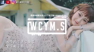 陈雪凝 - 我是你的前女友 x 小了白了兔 x shape of you【中文動態歌詞MV】