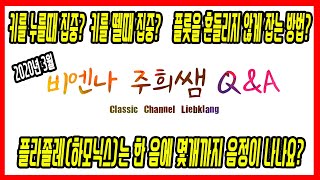 플룻 - 3월 주희쌤의 Q\u0026A (안 아프게, 그리고 안 흔들리게 악기를 잡는 방법은? / 플라졸레(하모닉스)는 한 음에서 몇개까지 가능한가요? / 비제 카르멘 간주곡?)