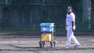 【プロ野球】2017.2.11  阪神　2017　安芸春季キャンプ　投手陣　『ゴロ捕球』　福原コーチがんばれ