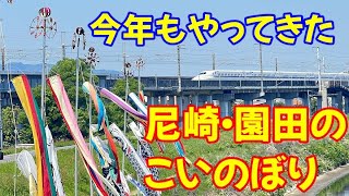 【尼崎市】今年もこいのぼりが泳いでます