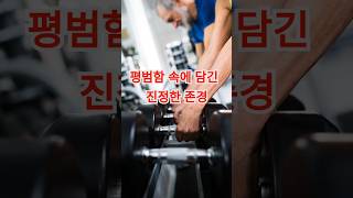 평범함 속에 담긴 진정한 존경