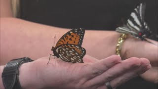 Don’t miss the 2023 Butterfly Festival