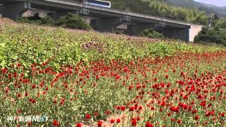 旬香集島㉔２０番札所　パルシェ香りの館