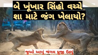 બે ખૂંખાર સિંહો વચ્ચે કેમ ખૂંખાર જંગ ખેલાયો?/ગીરનું જંગલ કેમ ધ્રુજી ઉઠ્યું?