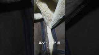 私服の革ジャン冬用・日常的な衣服・革製のジャケットの整備