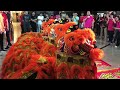 南仙龙狮体育会 singapore nam sieng lion dance performance on the 28 7 23