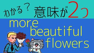 「もっときれいな花」ともう一つの意味は？【moreの謎】