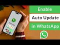 How to Enable Auto Update in WhatsApp?