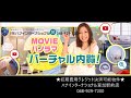 リブリ・ベクヴェーム　Ａタイプ　初期費用クレジット決済可能　室内動画　【動画で賃貸部屋探しハナインターナショナル草加駅前店】