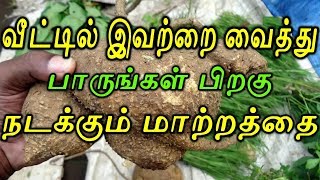 வீட்டில் இவற்றை வைத்து பாருங்கள் பிறகு நடக்கும் மாற்றத்தை| Sattaimuni Nathar