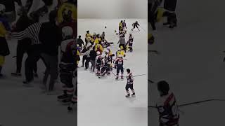 🤼‍♂️ Insane hockey brawl includes player fighting invisible opponent 😲 | #shorts | NYP Sports