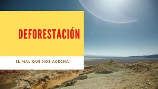 ¿Qué es la deforestación y por qué es vital comprenderla?