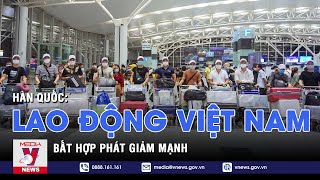 Lao động Việt Nam bất hợp pháp tại Hàn Quốc giảm mạnh - VNEWS