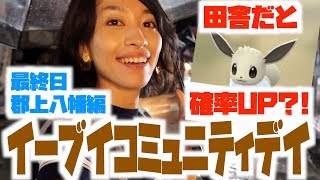 都会より田舎の方が確率UP説？！郡上八幡でイーブイコミュニティデイ！【ポケモンGO】