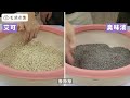 選對貓砂很重要！2022豆腐砂實測大評比 只推薦好的給你Ｉ毛孩市集petpetgo