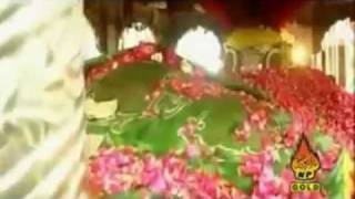 Qalandri Dhamaal - Sehwan Mein Aa Ja