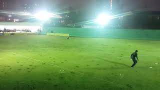 2016 kkc 전반기 보더콜리 프리스비 프리스타일 frisbee 조영종소장