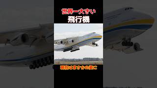 世界一大きい【飛行機】#ショート