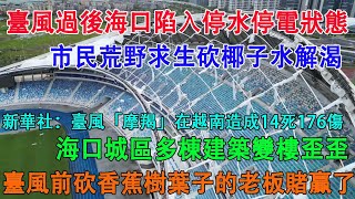 颱風過後海口陷入停水停電狀態，市民沒水喝荒野求生砍椰子解渴。海口城區多棟建築變樓歪歪，颱風前砍香蕉樹葉子的種植戶老闆賭贏了。