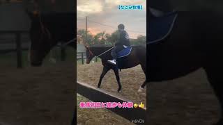 2021.11.4 そのちゃん❤️初めての乗馬体験🏇 vol.2　#なごみ牧場